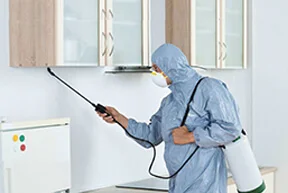 Hospital pest control services, Ahmedabad