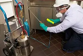 Restaurant Pest control, fly control, Ahmedabad, near me,